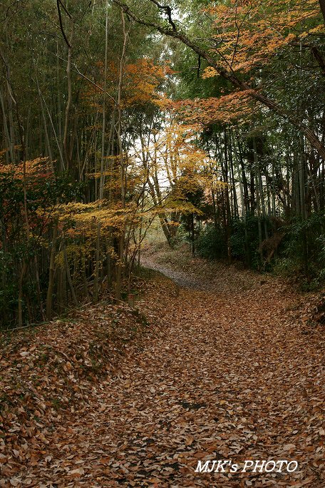 satoyama00070.jpg