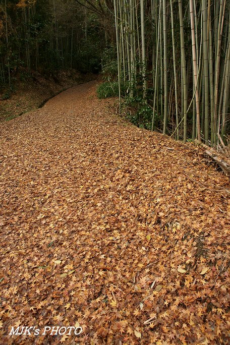 satoyama00071.jpg