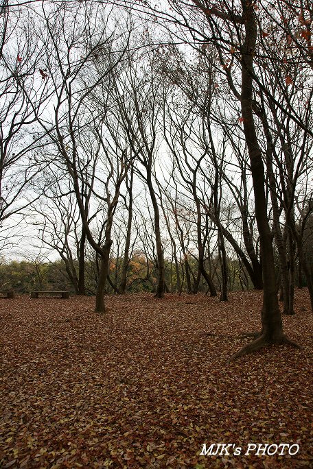satoyama00072.jpg