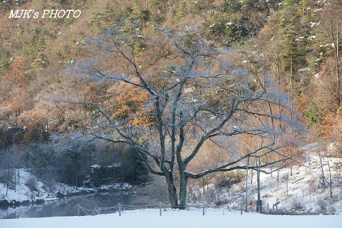 satoyama00114.jpg