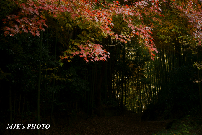 satoyama1034.jpg