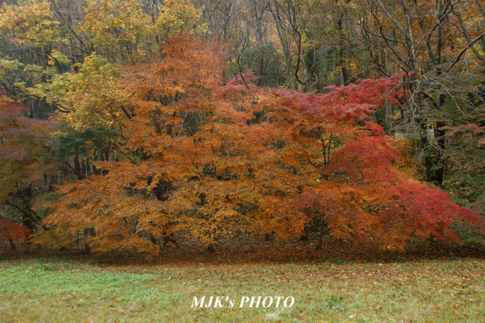 satoyama1038.jpg