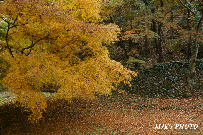 satoyama1041.jpg