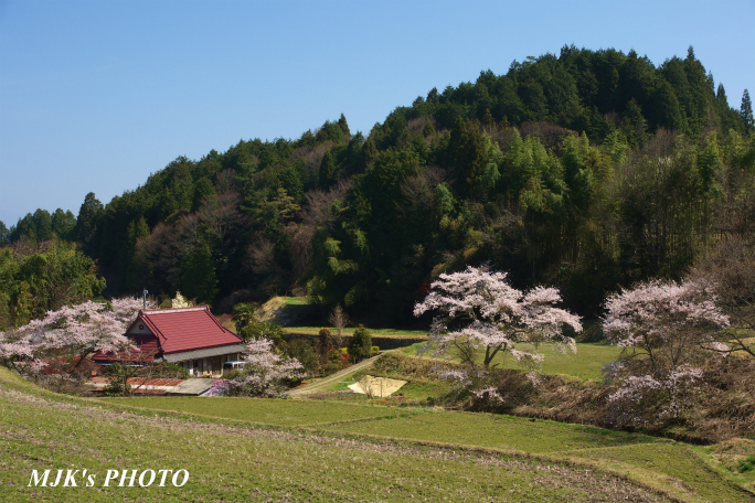 satoyama1344.jpg