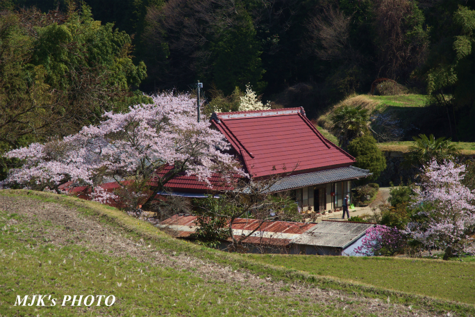 satoyama1345.jpg