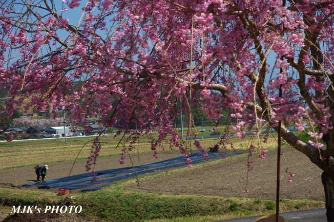 satoyama1347.jpg