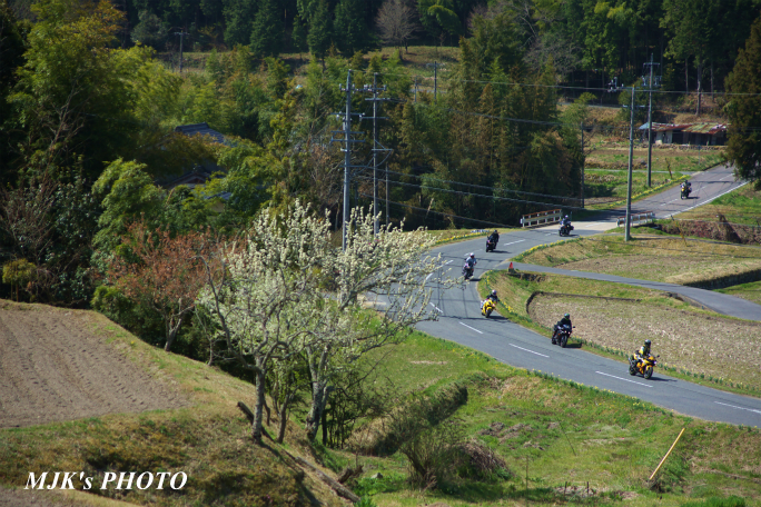 satoyama1348.jpg