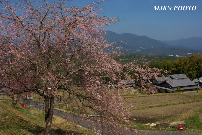 satoyama1349.jpg
