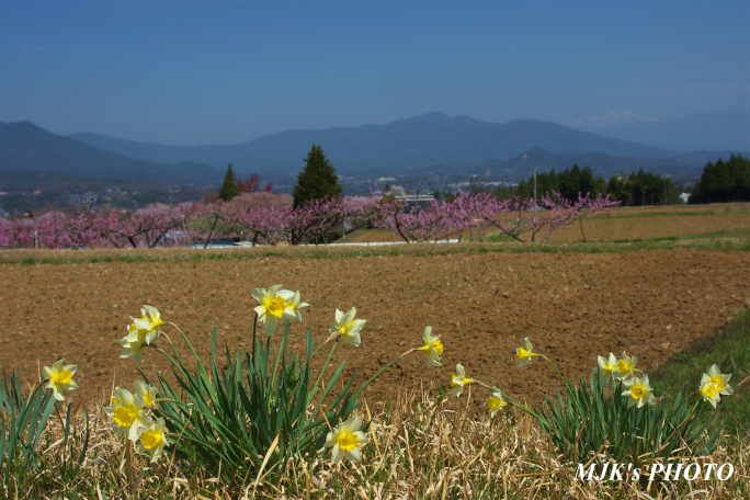 satoyama1354.jpg