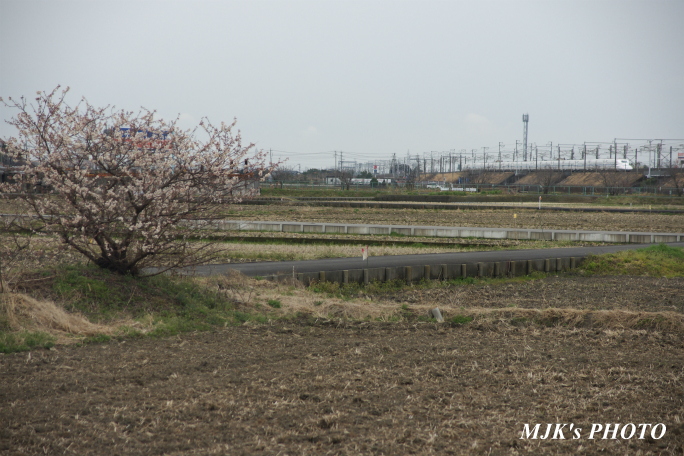 shinkansen2100.jpg