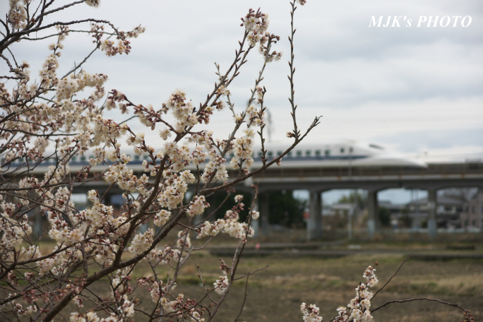 shinkansen2102.jpg