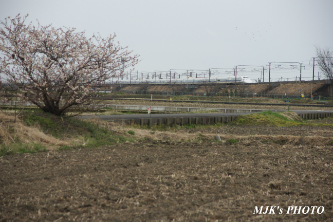 shinkansen2103.jpg