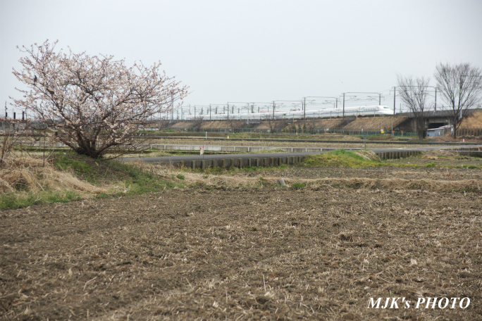 shinkansen2104.jpg