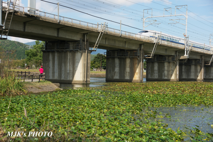 shinkansen2622.jpg
