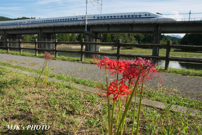 shinkansen2625.jpg