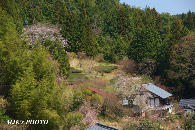 shiomi1368.jpg