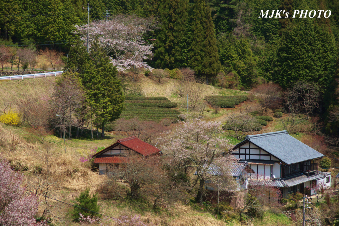 shiomi1369.jpg