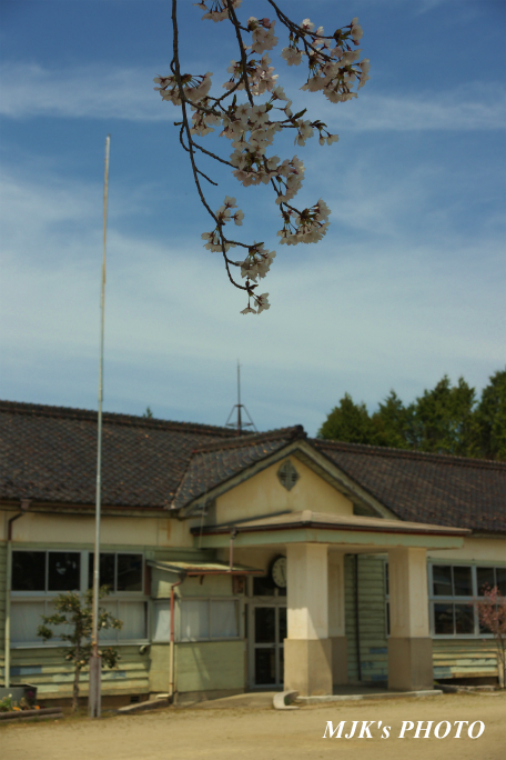 shiomi1371.jpg