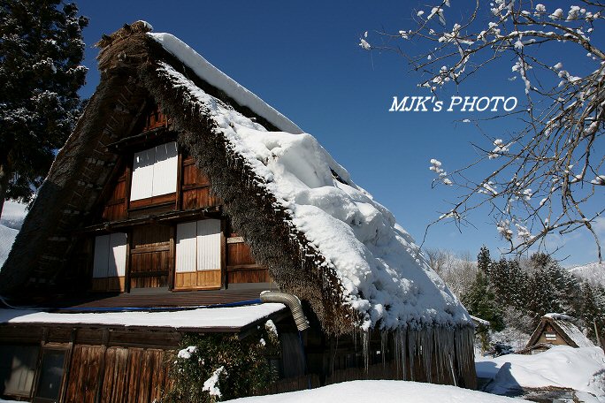 shirakawago00286.jpg