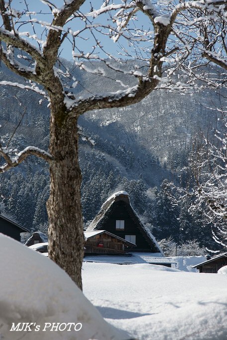 shirakawago00295.jpg
