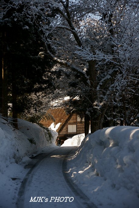 shirakawago00314.jpg