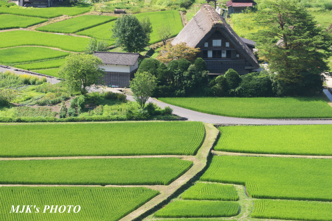 shirakawago4353.jpg