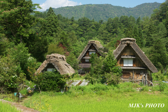 shirakawago4356.jpg