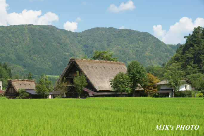 shirakawago4359.jpg