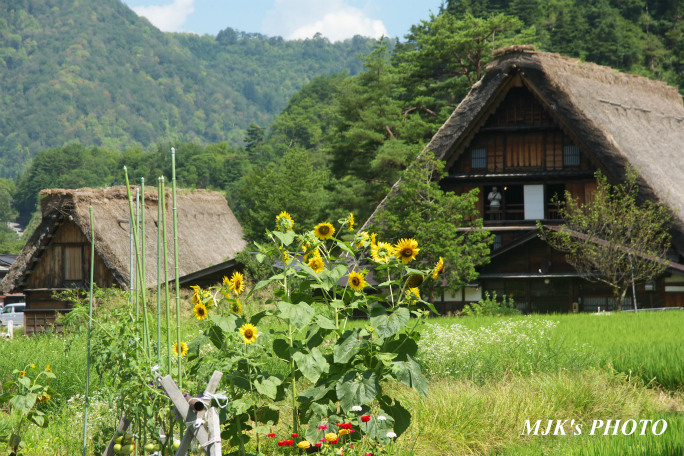 shirakawago4374.jpg