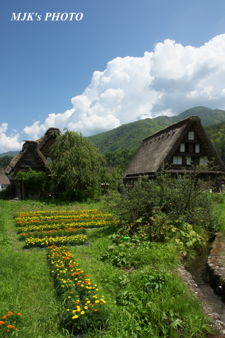 shirakawago4376.jpg
