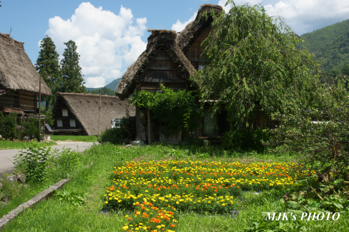 shirakawago4377.jpg