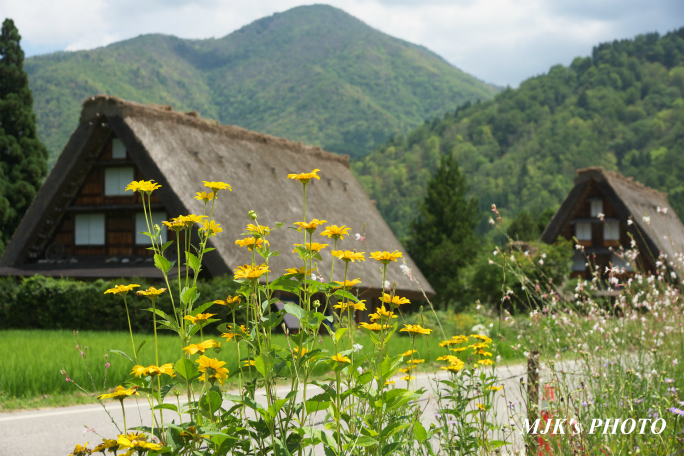 shirakawago4381.jpg