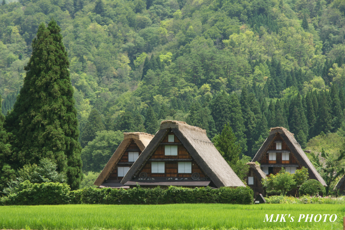 shirakawago4382.jpg