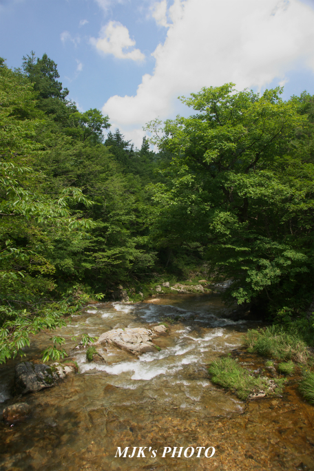 shoukawa3348.jpg