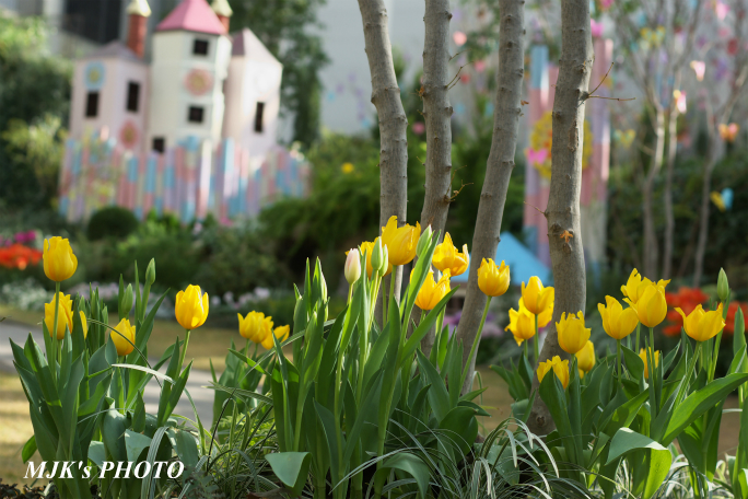 springflower3845.jpg