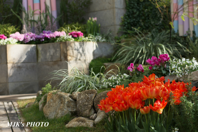springflower3848.jpg