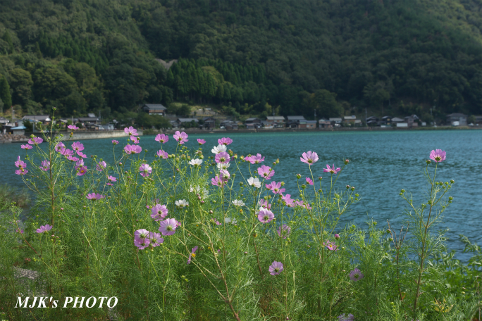sugaura3494.jpg
