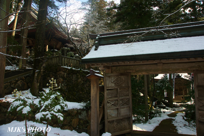 tanigumi1120.jpg
