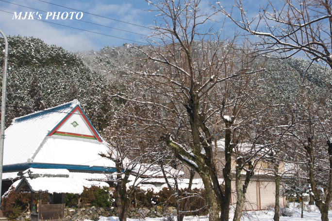 tanigumi2011.jpg
