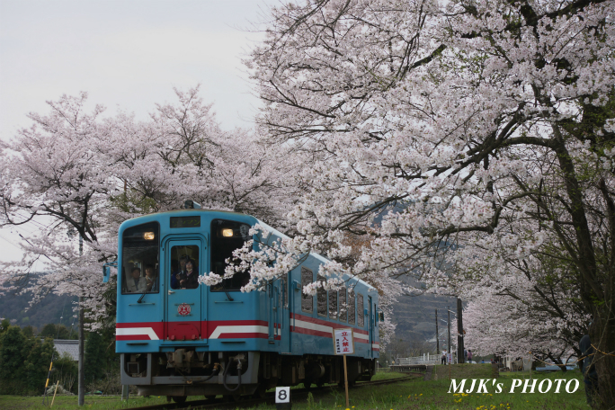 tanigumiguchi2181.jpg