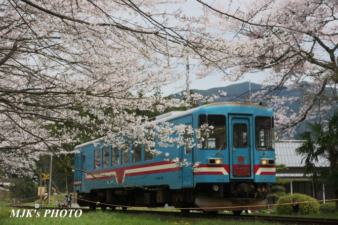 tanigumiguchi2184.jpg