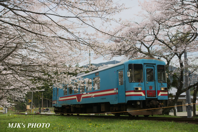 tanigumiguchi2185.jpg
