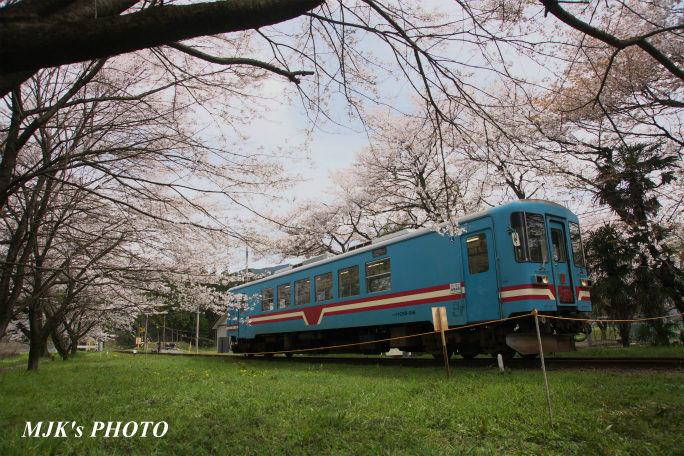 tanigumiguchi2186.jpg