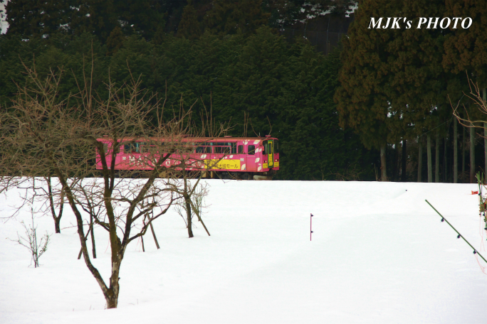 tarumi1124.jpg