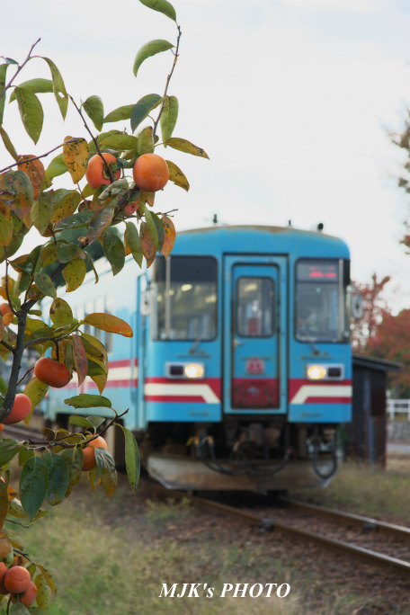 tarumi2714.jpg