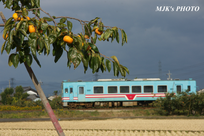 tarumi2715.jpg