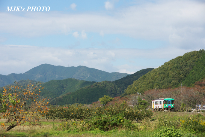 tarumi2718.jpg