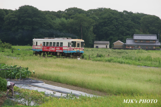 tarumi3409.jpg