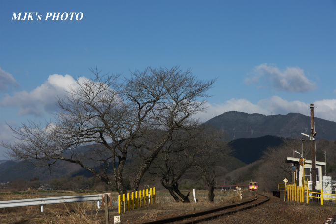 tarumi3910.jpg