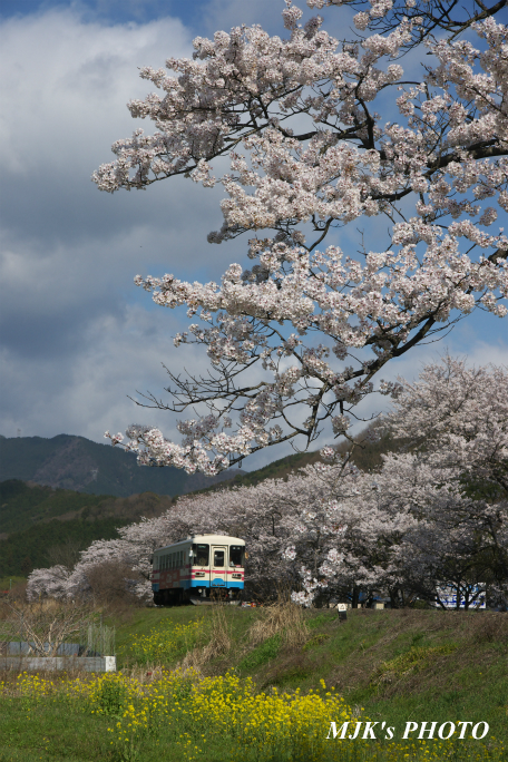 tarumi4024.jpg